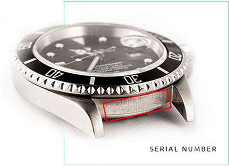 rolex serial number lookup 2022